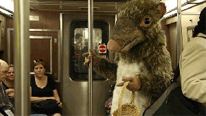 subway-rat
